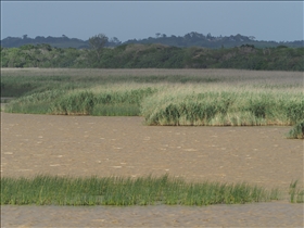 Hluhluwe River